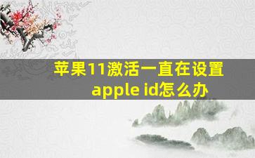 苹果11激活一直在设置apple id怎么办